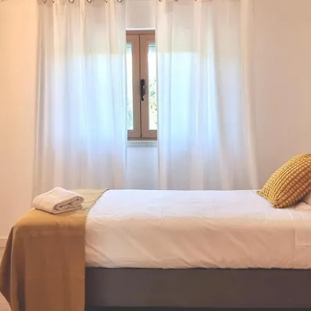 Traveler's Apartment